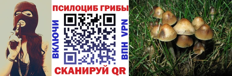 сколько стоит  даркнет формула  kraken вход  Псилоцибиновые грибы Psilocybine cubensis  Петухово 